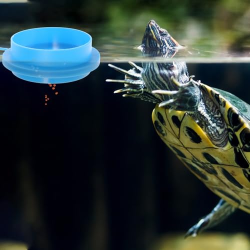 2pcs Reusable Plastic Fish Feeding Rings Aquarium Feeding Circles Floating Fish Feeder for Tank Tropical Food Retaining Ring Aquarium Accessory