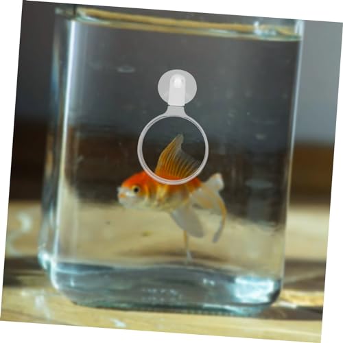 Toddmomy Plant Observation Magnifier Cup Glass for Aquariums for Landscapes Small Animals and Detailed Plant Viewing