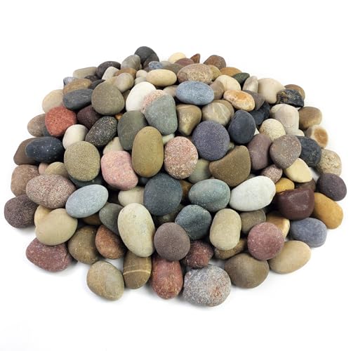 FANTIAN 10 lbs River Rocks, 1-2 Inch Natural Pebbles for Plants, Landscaping, Garden, Aquarium, Backyard and Indoor Water Fountains - color: Mixed, size: 10 lbs, 1-2 Inch