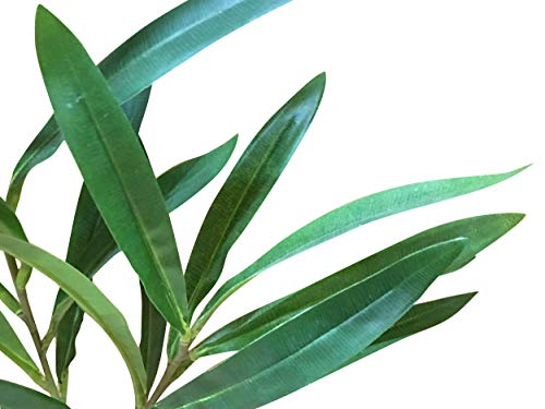 CNZ CNZPG_18in Aquarium Decor Fish Tank Decoration Ornament Artificial Plastic Plant 18" Green