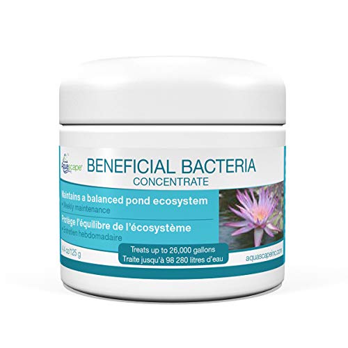 Aquascape Dry Beneficial Bacteria for Pond and Water Features, 4.4-Ounce | 98925,White - size: 0.28 lb
