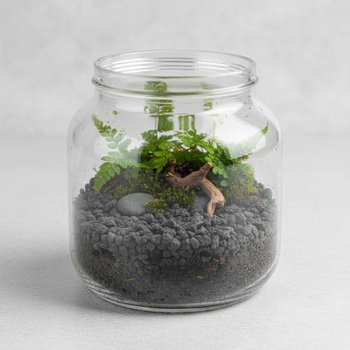 TOPZEA 12 LB Black Lava Rocks for Plant, Potting Soil Additive Decorative Landscaping Grits, Horticultural Gravel Crushed Volcanic Rock for Bonsai Succulent Cactus, Top Dressing, Fire Pit, Aquarium