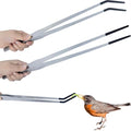 2Pcs Reptile Feeding Tong with Rubber Tip Aquarium Tweezers Stainless Steel Straight Curved Feeding Tong Long Handle Terrarium Feeder Tool for Tank Lizards Bearded Dragon Spider Snake (Silver, 15Inch) - size: 15Inch