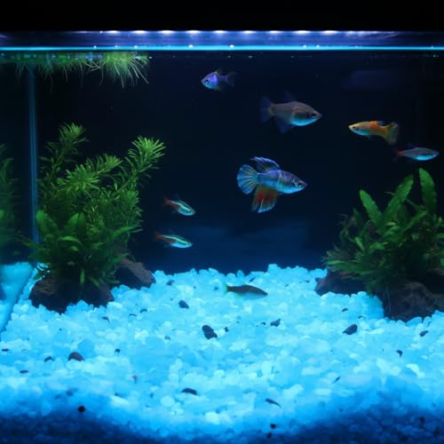 Shiny Stone Glow in The Dark Aquarium Neon Gravel Sand, Decorative Rocks for Fish Tank and Fairy Garden, Home Dec,305g/0.67lbs (5-8mm, Sky Blue) - color: Sky Blue, size: 5-8mm