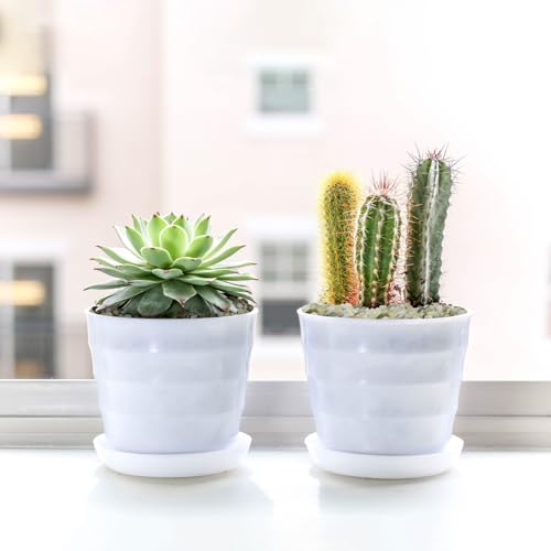 Pulovin 2.5LB Succulent and Cactus Pebbles, 1/5 Inch Jade Pebbles for Indoor Plants, Decorative Gravel for Vases, Bamboo, Succulent, Terrarium, Crafts, Cactus - color: Jade