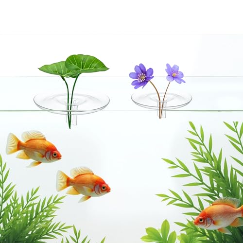 SnowTing 10 PCS Mini Floating Aquarium Plant Holder, Clear Plastic Round Simple Style Fish Tank Fixing Ring for Small & Single Flower Water Plants (OD 2.76'' and 2'')