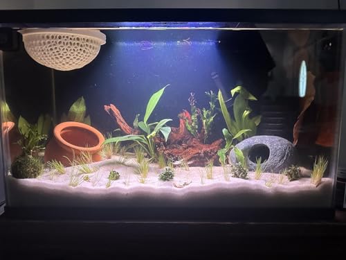 emours Aquarium Driftwood Fish Tank Decoration (XLarge(11 to 14 inches in Length)) - size: XLarge( 11 to 14 inches in length)