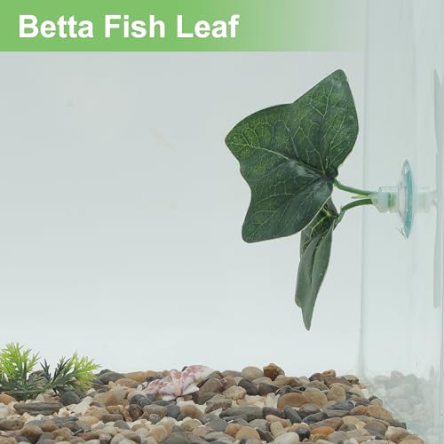 Betta Fish Leaf, Natural Habitat Simulation for Betta Spawnings Grounds, Betta Spawnings Leaves, Resting Bed, Double Maple Leaves, Green