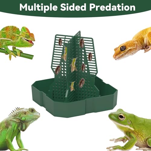Chameleon Feeder Bearded Dragon Feeder for Mounted Insect with Rope and Tweezers, Tank and Aquarium Accessories for Lizard, Bearded Dragon, Gecko, Frog（Large） - size: Large