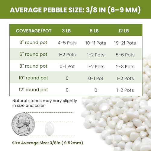 3/8 Inch Polished Decorative Pebbles, River Rocks for Indoor Plants, Succulents, Planters, Vases, Fish Tank, Aquarium Gravel & Landscaping, Snow White, 3LB - color: White, size: 3LB
