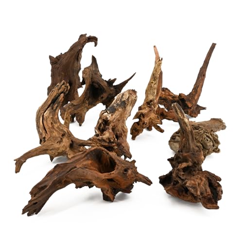 Natural Driftwood Spider Wood Branches Fish Tank and Reptile Terrarium Decor Assorted Sizes for Aquariums and Lizard Habitats (14-17 inch (Pack of 1), Mopani Driftwood)