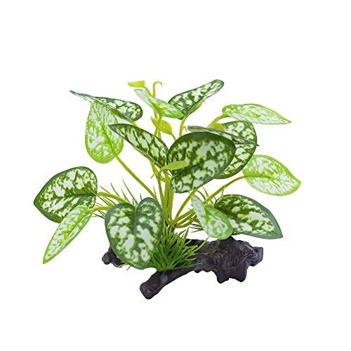 Reptile Artificial Plants, Terrarium Plants Decorations Supplies, Amphibian Habitat Hideout Tank Accessories, Rainforest Ground Plant