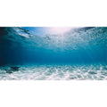AWERT 36x24 inches Vinyl Undersea Ocean Floor Aquarium Background Tropical Tank Background - size: 36x24in/90x60cm
