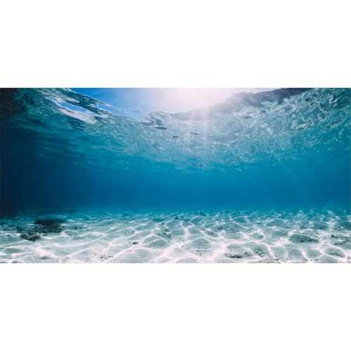 AWERT 36x24 inches Vinyl Undersea Ocean Floor Aquarium Background Tropical Tank Background - size: 36x24in/90x60cm