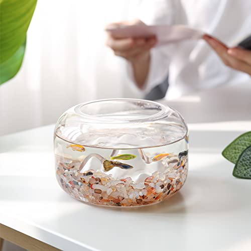 T4U Crystal Chips Stone Crushed Quartz Glass 1LB - Carnelian Tumbled Gravel Small Decorative Pebbles Bulk, Mini Polished Rocks Pieces for Crafts, Vases Filler, Succulent Plants, Aquarium Gravel Rocks - color: #5 - Carnelian, size: 1 LB