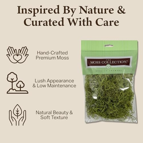 Preserved Spanish Moss - Premium Decorative Moss for Crafts, Home Décor, Art, Design & DIY Projects - Real Moss - Non-Toxic, USA-Made (Chartreuse, Small, 2-Pack) - color: Chartreuse, size: 2-Pack, Small
