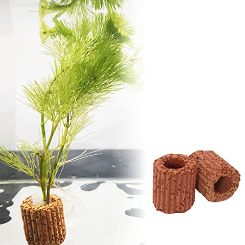 10pcs Water Plants Cultivation Fixed Ring Base 25mm Aquatic Water Plant Fixed Ring for Aquarium Landscape Ceramic Plant Pot