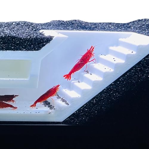 Lucky Critter Shrimp Cave Underground Maze Tunnel | Viewing Shrimp Freshwater Hide Tunnel | Aquarium Shrimp Breeding Cave Perfect for Small Shrimp, Cherry Shrimp, Dwarf Shrimp (White) - color: White