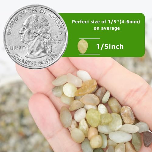 5lbs Natural Gravel Pebbles for Succulents and Cacti, 1/5 Inch Decorative River Stones – Perfect for Vases, Aquariums, Terrariums, and Outdoor Gardening, Mixed Colors (Jade, 5 Pounds) - color: Jade, size: 5 Pounds