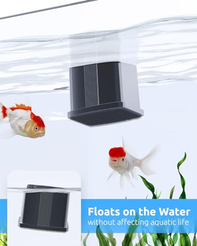 SEAOURA 2-in-1 Aquarium Magnetic Cleaner with Digital Aquariums Thermometer, Fish Mini Magnets Brush only for Glass Tank,Tiny Magnet Floating Cleaning Tool for 1-30 Gallons - color: Black