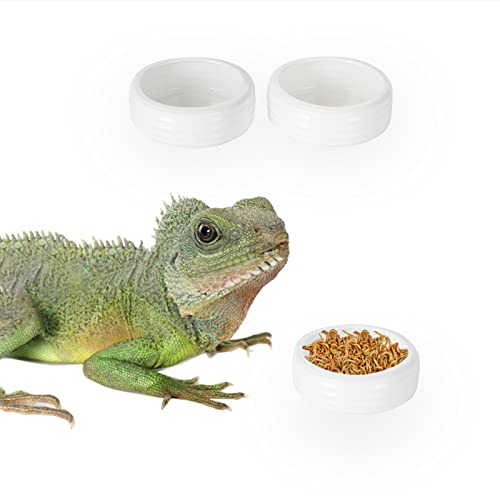 Reptile Food Bowls Ceramic Mini Round Reptile Water Food Dish, Pet Food Bowl for Lizards, Small Snakes, Young Bearded Dragons, Gecko Tortoise Spider (White, Small-2Pack)