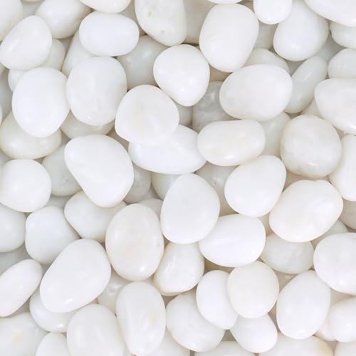 Pebbles for Indoor Plants, 5lbs White Pebbles 0.5-1.2 Inch Decorative River Rocks for Planters, High Polished Stones for Vase Filler Fish Tank Landscaping Garden - size: 0.5-1.2 inch, style: 5 lbs