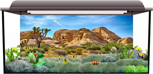 Polyester 72x18 inches Joshua Tree National Park Backdrop Arid Barren Cactus Sandstone Rock Climate Mountain and Desert Scenery Backdrop Desert Terrarium Background - size: 72x18 Inches