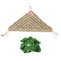 kathson Bearded Dragon Hammock, Reptile Terrarium Leaves with Suction Cups, Bearded Dragon Tank Accessories, Habitat Decor for Chameleon, Lizards, Geckos, and Snakes（16.53 x 12.6 x 12.6 inches, 2 PCS）