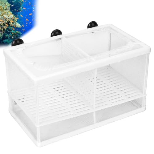 Aquarium Breeder Box with Suction Cups | Detachable Fish Hatchery & Isolation Enclosure | Multi - Functional Incubator for Fry/Unwell Fish/Shrimp | Secure Plastic & Mesh Design (Large with - size: Large with partition