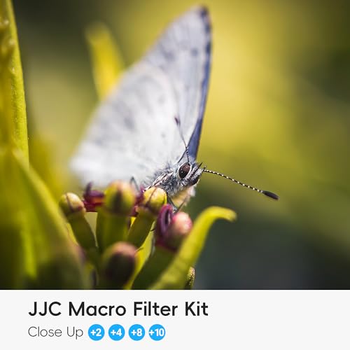 77mm Macro Close-Up Filter Set (+2 +4 +8 +10) Macro Filter with Pouch for Nikon D750 D780 with AF-S NIKKOR 24-120mm f/4G ED VR Lens or Canon 6D Mark II with EF 24-105mm f/3.5-5.6 is STM Lens - size: 77mm