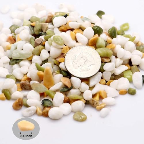 TOYPOPOR Mixed Color Decorative Rocks Stones Pebbles for Plants Garden Gravel White Rocks with Yellow, Green Pastel Accents Vase Fillers Natural Stone Top Dressing for Potted Plants Succulents 6 lbs - color: Three Colors Rocks, size: 6 lb
