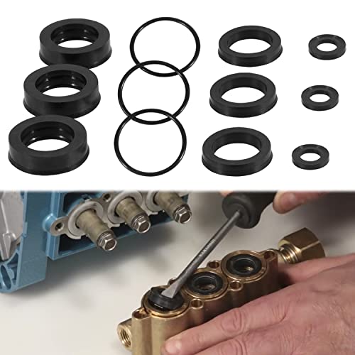 Sunluway 76975 Seal Kit CAT Seal Kit for 4DNX Pumps Fits for Replacement CAT 4DNX25GSI & 4DNX27GSI Pump