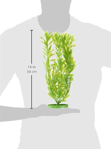 Marina Aquascaper Fish Tank Decorations, Hygrophila Plant, 15-Inch - size: XL - 15"