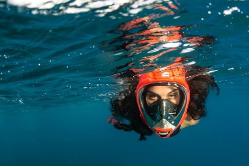 OCEAN REEF - Aria QR + Quick Release Snorkeling Mask - Full Face Snorkeling Mask - 180 Degree Underwater Vision - 8 Colours and 4 Sizes - color: Red, size: Medium-Large