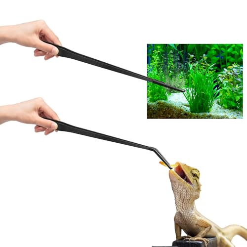 Lasnten 2 Pcs Extra Long Stainless Steel Reptile Feeding Tongs with Rubber Tip 18.5 Inch, 18.9 Inch Bearded Dragon Aquarium Straight and Curved Long Tweezer Terrarium Feeder Tool for Tank(Black) - color: Black, size: 18.5 Inch, 18.9 Inch