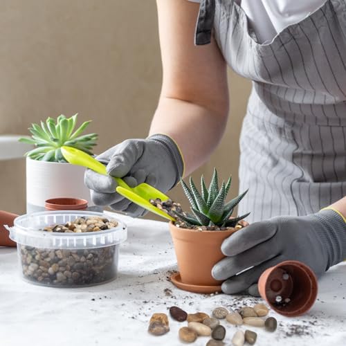 Pulovin 5 lbs Pebbles for Indoor Plants, Succulent, Bamboo, Vase, 3/8" Plant Rocks for Pots Indoor, Small River Rocks Decorative Pea Gravel, Highly Polished - color: Mixed Color