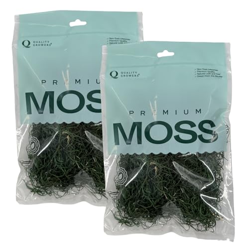 Preserved Spanish Moss - Premium Decorative Moss for Crafts, Home Décor, Art, Design & DIY Projects - Real Moss - Non-Toxic, USA-Made (Forest Green, Small, 2-Pack) - color: Forest Green, size: 2-Pack, Small