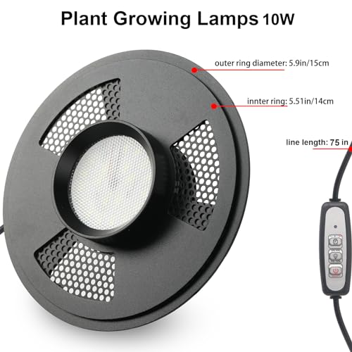 Desktop Glass Plant Terrarium with Grow Light (H:9.8" D:5.9"), for Succulent, Moss, Miniature Gardening Landscape, Betta Fish Tank, Office Home Decoration, Plant Lovers Gifts