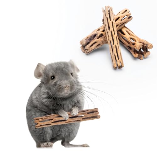 SubstrateSource Natural Cholla Wood - Driftwood for Aquariums, Air Plant Base, Hermit Crab and Freshwater Shrimp Hideout, Fish Tank Decoration, Chinchilla Chews, Reptile Habitat Wood - 6 Inch, 2pc - size: 6 inch (Pack of 2)