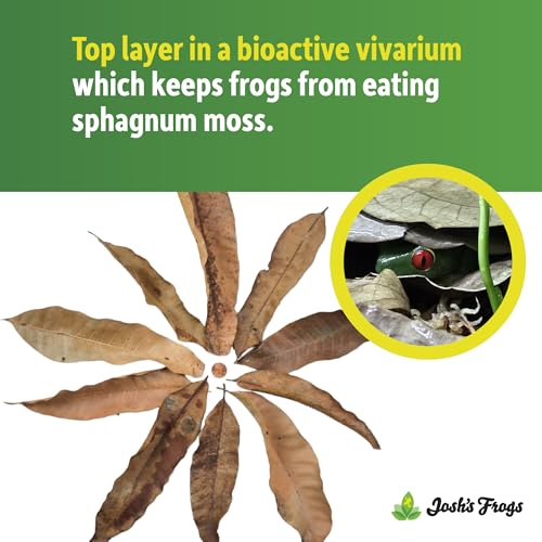 Josh's Frogs Mango Leaf Litter (10 Count)