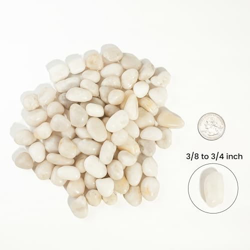 300 LBS River Rocks, StoneCreek, Decorative Garden Stones for Plant Landscaping, Polished Gravel Filler Pebbles for Home Decoration, Vases, Succulents, Flower Beds and Fish Tanks (White, Medium) - color: White, size: 300 LBS