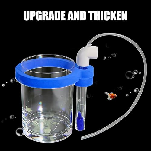 Protective Acrylic Incubator Box Safe Fry Rearing Container Suitable for Guppy & Fish Fry Featuring Sponges Cushioning Suspended Fish Hatchery
