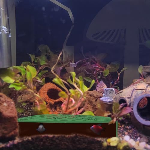 WishLotus Shrimp Hides for Aquarium, Shrimp Cave with Holes, ShrimpHide for Aquarium Fish Tanks ShrimpPonds Breeding Tanks, Hideout for Small One (Green) - color: Green