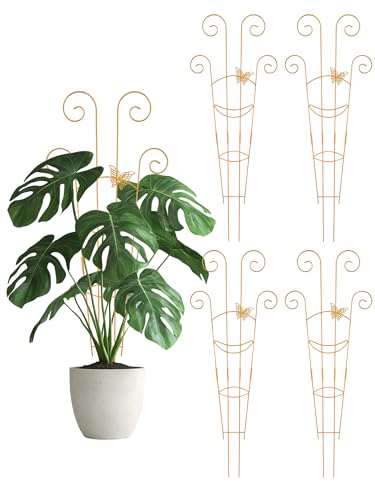 4Pcs Indoor Plant Trellis for Potted Plants, 30" Taller Expandable Garden Metal Trellis for Climbing Plants Outdoor, Houseplant Support Stakes for Ivy Pothos Hoya Flower (Gold) - color: Black-NEW