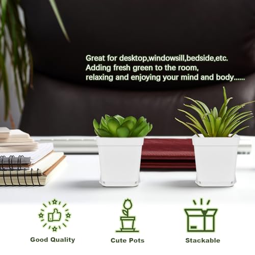 Anyumocz 24Pcs 3" Square Plastic Plant Pots,White Nursery Pots with Saucers,Seedling Nursery Transplanting Planter Container for Plants,Garden,Flower,Home,Office,Balcony Decor,Indoor,Outdoor - color: White