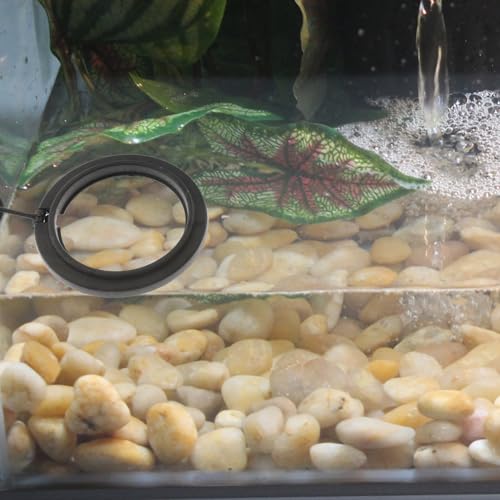 Mikikit 4pcs Reusable Fish Feeding Rings Aquarium Feeder Rings Floating Fish Food Corral for Tank Feeding Tropical