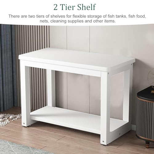 2-Tier Steel Frame Fish Stand Cabinet with Wooden Shelves - Versatile Reptile Rack, Home Storage Solution & Stylish Table Display Organizer - Durable & Functional - color: B, size: 60x35cm(23 5/8"x13 3/4")