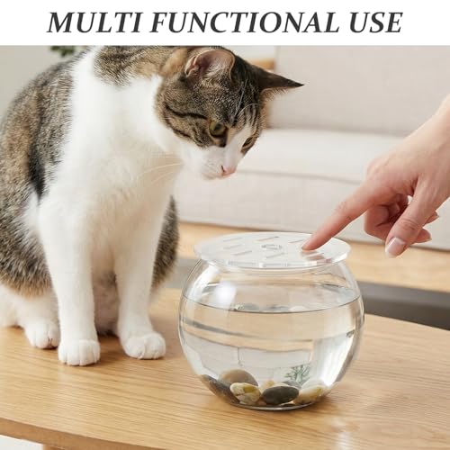 Round Clear Tank Lid - Round Aquarium Lid 3.94 Inch Tank Protective Cover - Replacement Accessories for Fish Bowl Terrarium - size: 10.00X10.00X0.30CM