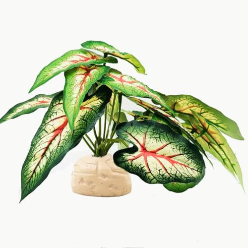 Reptile Plants for Terrarium Decor,Amphibian Habitat Decor, Bearded Dragon Tank Accessories,Artificial Plants for Gecko Chameleon Snake Tortoise with Base (Alocasia odora) - color: Alocasia Odora