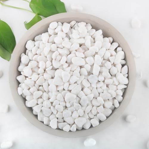 Mulctun 2Lb White Rocks for Plants, 1/4"-3/4" White Pebbles, Decorative Stones for Vases, Small Aquarium Gravel for Fish Tank Garden Rocks for Potted Plants & Home Decor - size: 2 LB